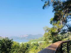 -深圳仙湖植物园