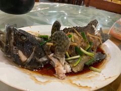 -四姑娘川味海鲜(八爪鱼店)