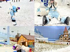 -广州热雪奇迹
