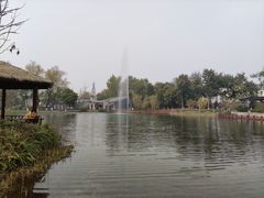 -成飞公园