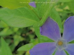 -奉浦四季生态园