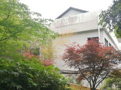 -上海佘山国家森林公园西佘山园