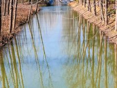 -合肥滨湖国家森林公园