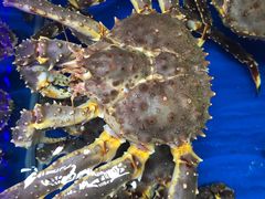 -盒马鲜生(顺义店)