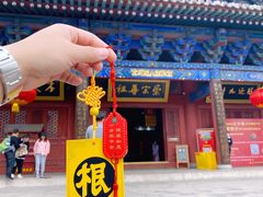 -大槐树寻根祭祖园