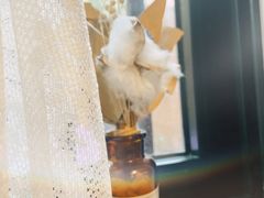 -春风·有糖(崇宁路店)