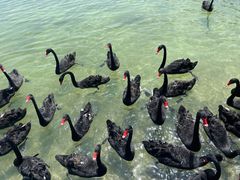 -水上乐园·欢乐世界