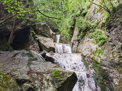 -牛背梁国家森林公园