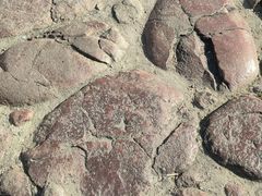-福建土楼（华安）旅游区•大地土楼群
