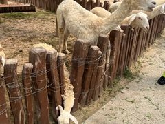 -太原动物园