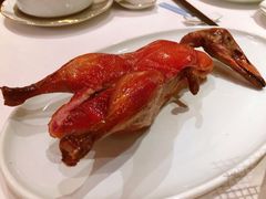 -东富酒家(龙湖西溪天街店)