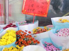 -溪岸路花鸟市场