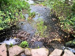-中国茶叶博物馆(双峰馆区)