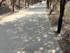 -府君山公园