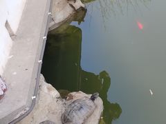 -无锡梅园公园