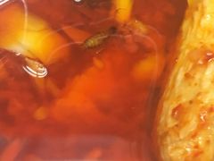 -马路边边串串香(双井直营店)