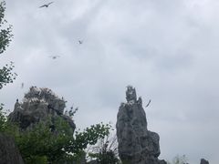 -千岛湖石林
