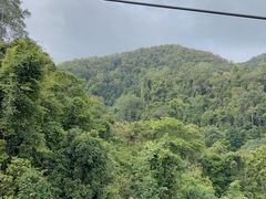 -野象谷景区