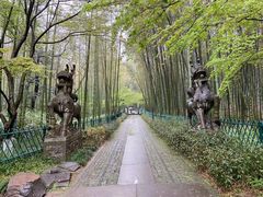 景点-云栖竹径