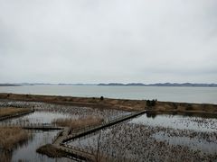 -鄱阳湖国家湿地公园
