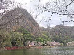-星湖旅游景区七星岩