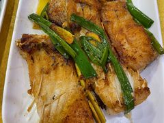 香煎鱼腩-深圳柯记餐厅(大望店)