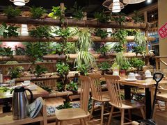 大堂-椰夫人·养生椰子鸡(黄埔时代城店)