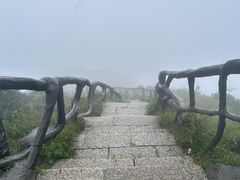 -梧桐山风景名胜区