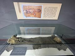 -巴音郭楞蒙古自治州博物馆