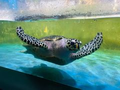 -常州海昌海洋探索馆