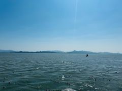 -深圳湾公园(南山区)