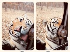 -西安秦岭野生动物园