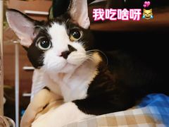 -德南面包房(尚都店)