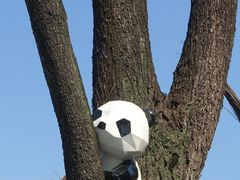 -云溪植物园