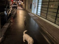 -埃菲尔铁塔