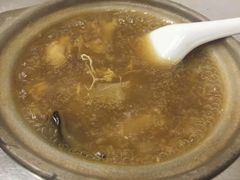 招牌花胶海参煲仔-添發碗仔翅美食