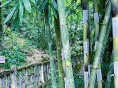 -沐川竹海旅游景区