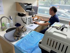-美联众合动物医院·24h京西诊疗中心