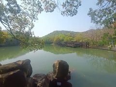 -白马涧龙池景区