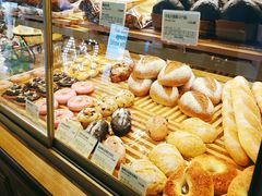 -多乐之日(公园茂店)