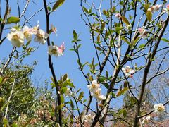 -杭州植物园