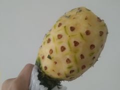 -胡家庙水果批发市场