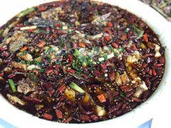 -西木兔(大圆祥店)