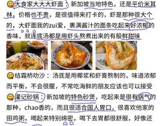 -圣淘沙天际线斜坡滑车