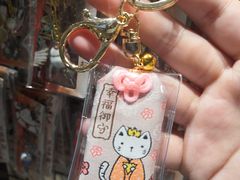 -猫咪博物馆(顶澳仔猫街店)