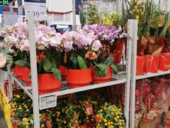 -山姆会员商店(亦庄创意生活广场店)