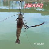 中山不知道去哪玩？为你种草下一次出行地