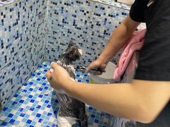 -FAELING PETS美天灵宠物(富力广场店)