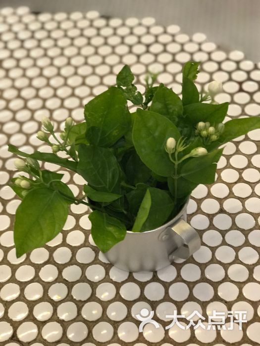 凉房-图片-厦门美食-大众点评网