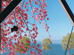 -湖景渔湾